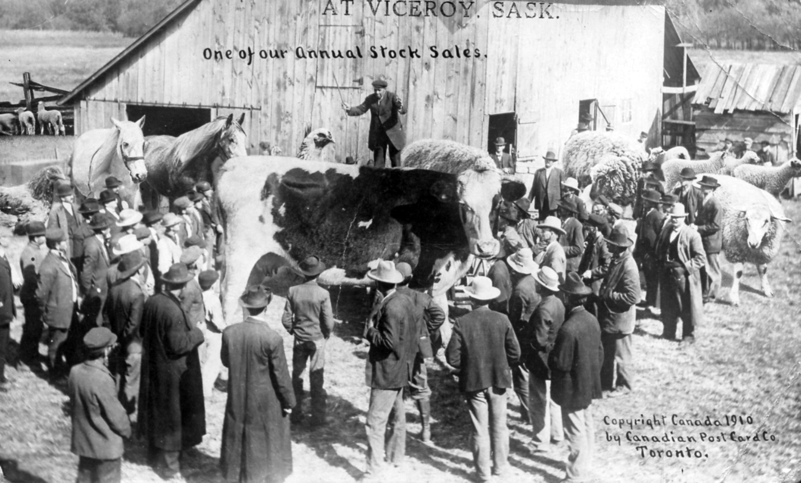 Historical photos photographs of Viceroy