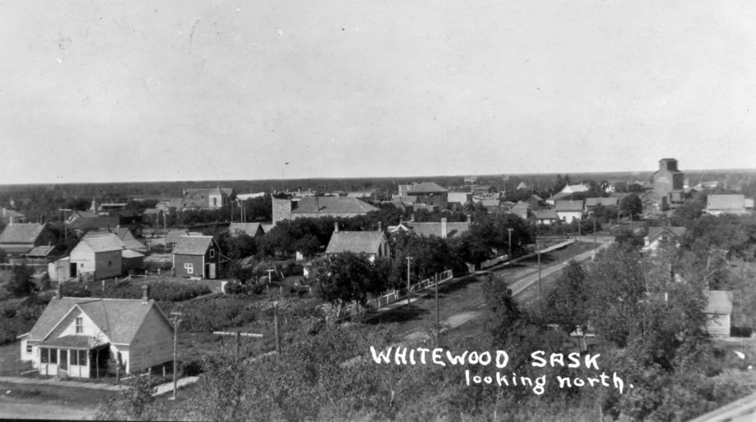 Whitewood