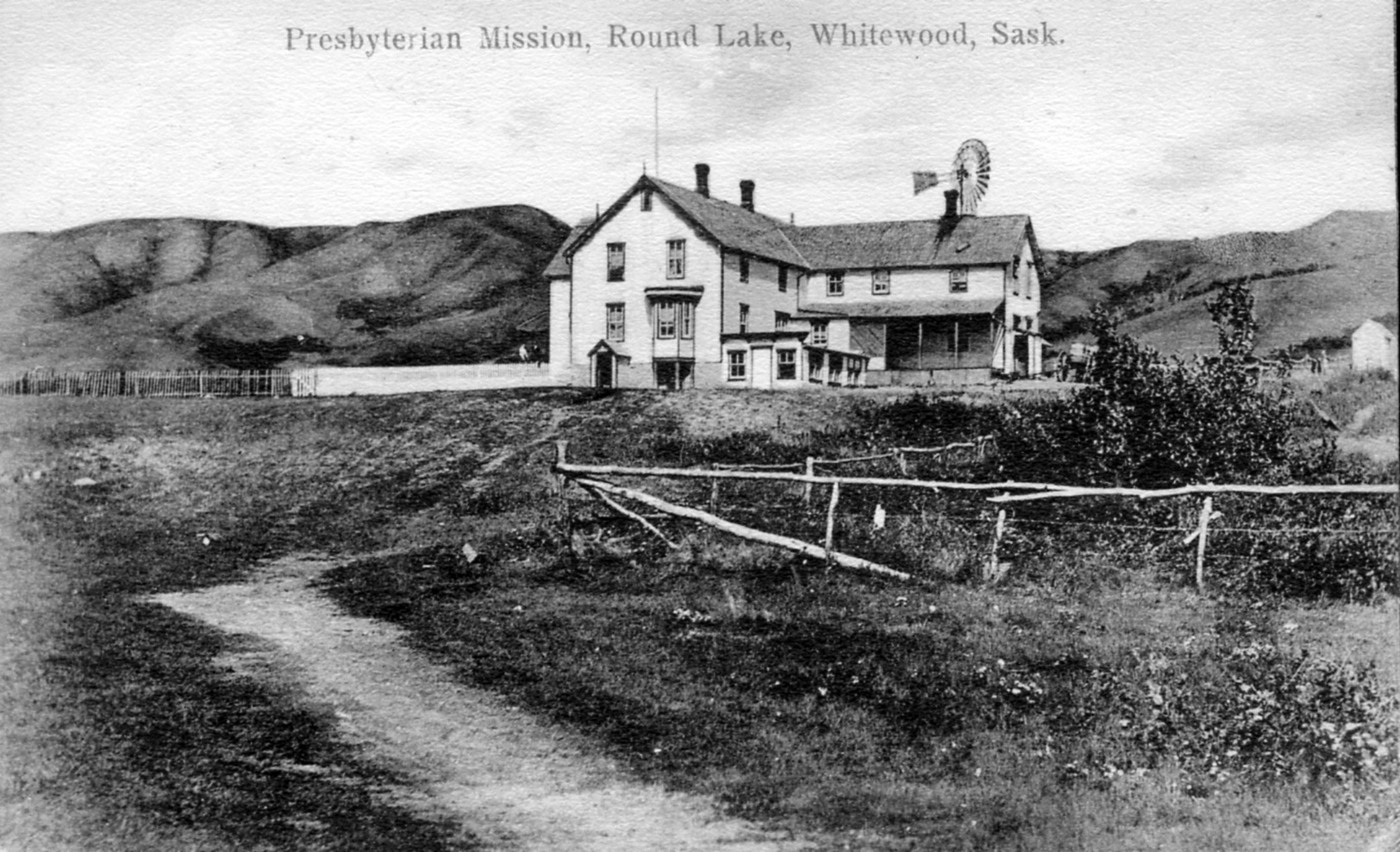 Whitewood